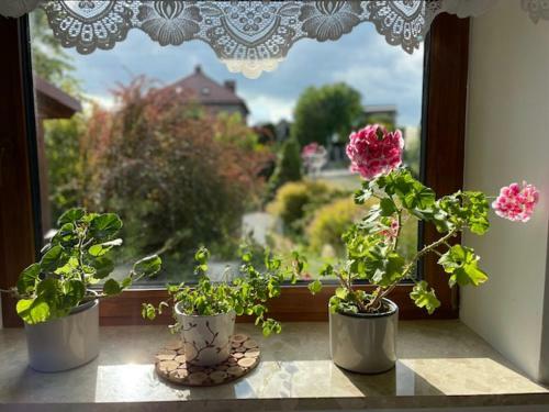 Apartamento Agroturystyka Zacisze Kani�w