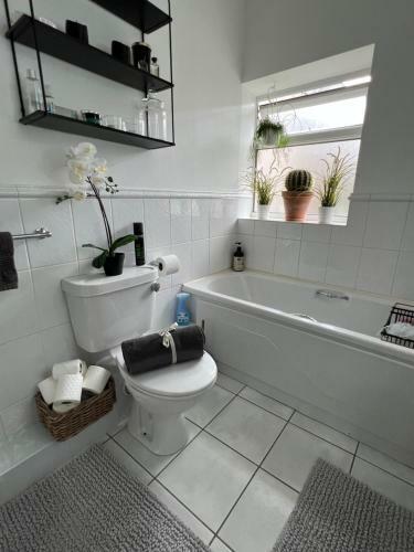 Lovely Apartment In Cork