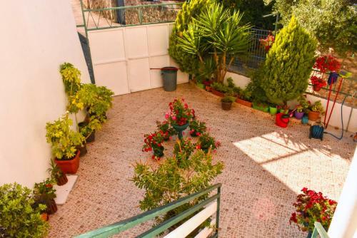 Apartments Hidri