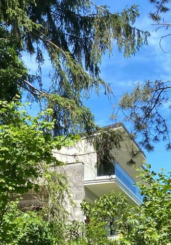 Villa Belvedere_modern Villa With Lake View