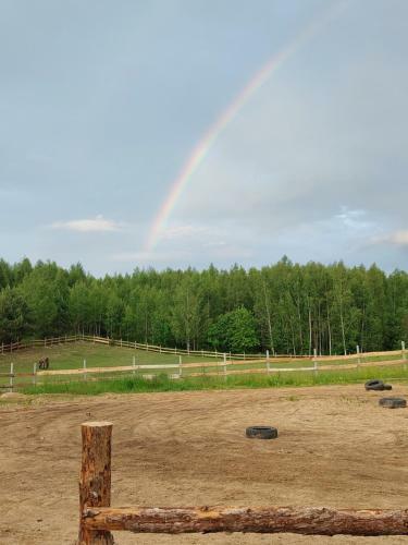 Agroturystyka Stajnia Pod Brzozami