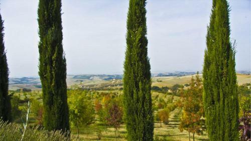 Villa Aia Vecchia