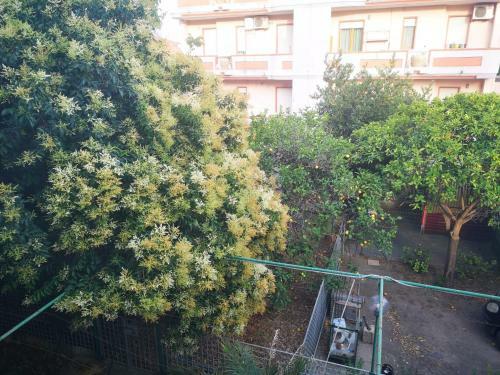 Assueli B&B