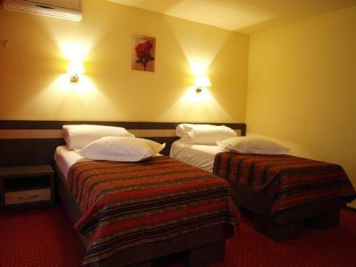 Hotel Dana