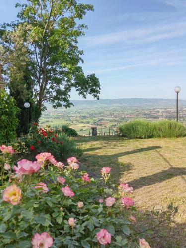 Apartamento Residenza Messer Pajola