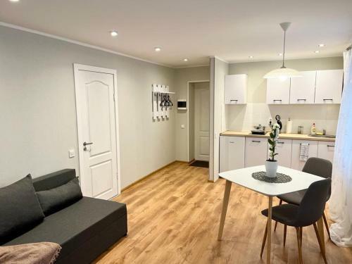 Auseklu Street Apartament