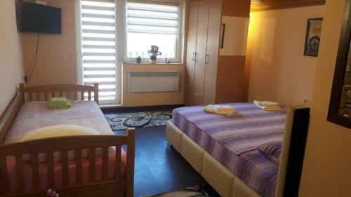 Apartman Dunja Banja Vrdnik