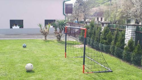 Apartman Dunja Banja Vrdnik