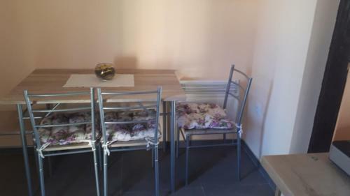 Apartman Dunja Banja Vrdnik