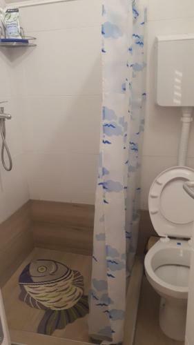 Apartman Dunja Banja Vrdnik