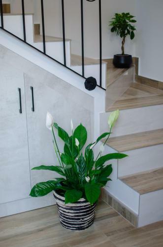 Apartamento Harmonija Lux