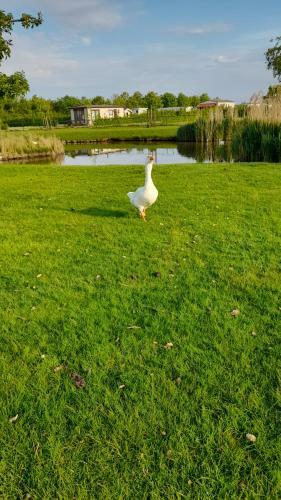 't Groentje Baarland
