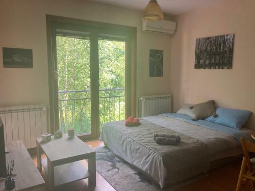Apartman Cosmos