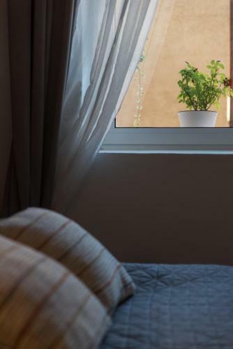 Apartamento Dvori?tance