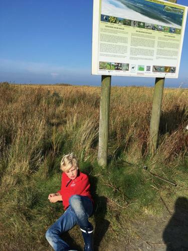 Luitekamp Ameland