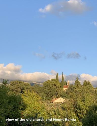 Apartment Serenada