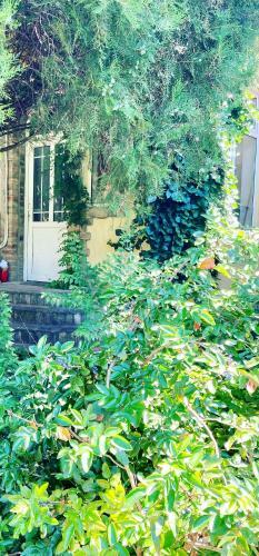 Apartamento Salonac Konstantin