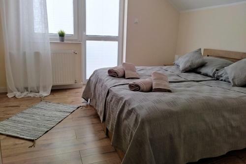 Apartamento Znowu Wr�cisz