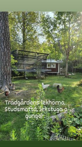 Sj�n�ra Liten Stuga Med Sovloft, Toalett I Huset Bredvid