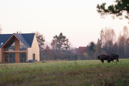 Tatanka Dom W Puszczy