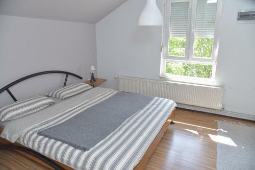 Apartman - Ku?a Kod Parka