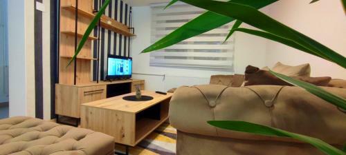 Apartman Green Garden Aran?elovac