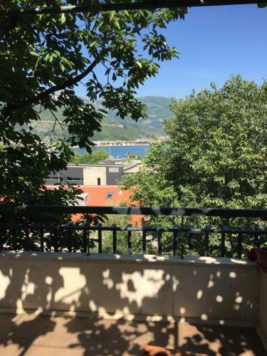 Apartment Branka Fortunella