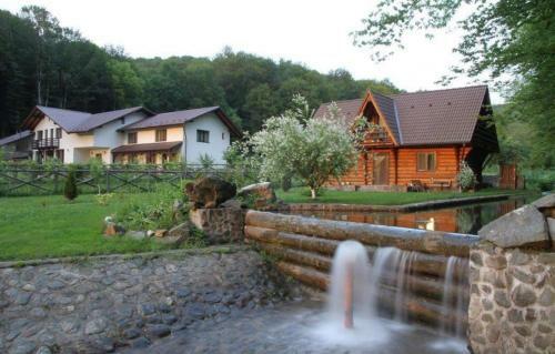 Villa Cabana Racovita