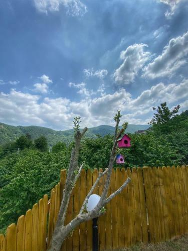 Sapanca Brono Suit Bungalow