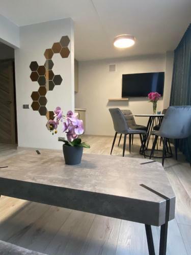 Adi Apartamentai