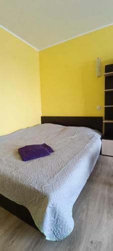 Justinos Apartamentai Panev??yje