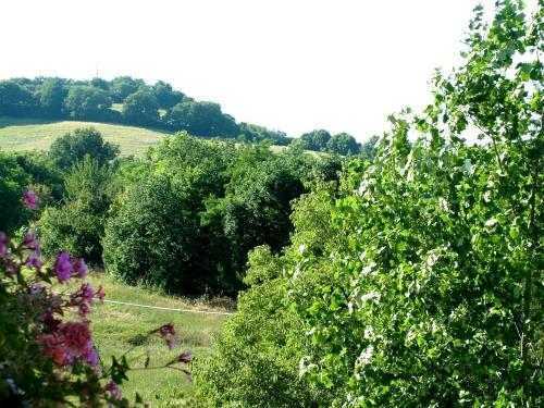 Apartamento La Francigena