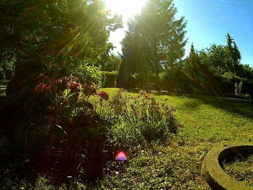 Apartamento La Francigena