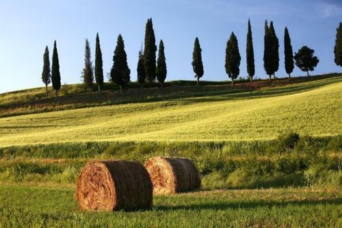 Apartamento Palazzo Alle Mura