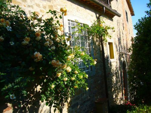 Villa La Vistosa