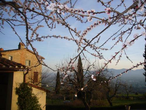 Villa La Vistosa