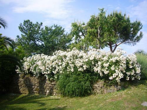 Villa La Vistosa