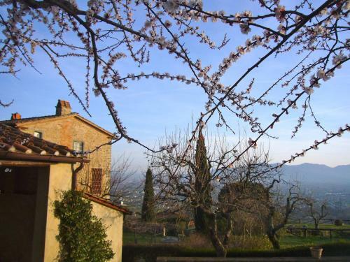 Villa La Vistosa