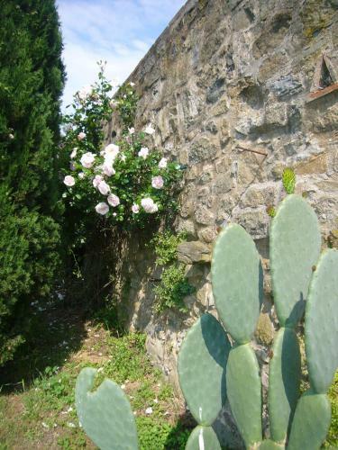 Villa La Vistosa