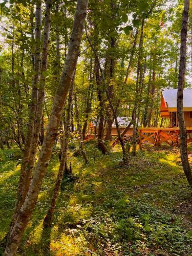 Garuda Glamping Abkhazia
