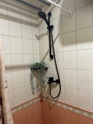 Gertrudes Apartament