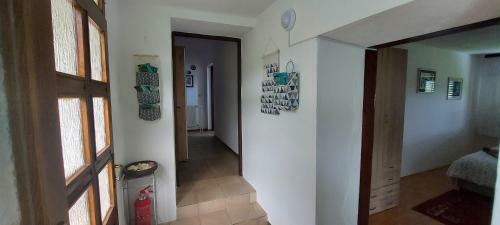 Apartma Pr' Ivani Mi?korinovi