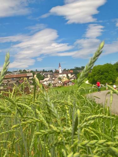 Bed & Breakfast The Village Rest - Brezje Gorenjska
