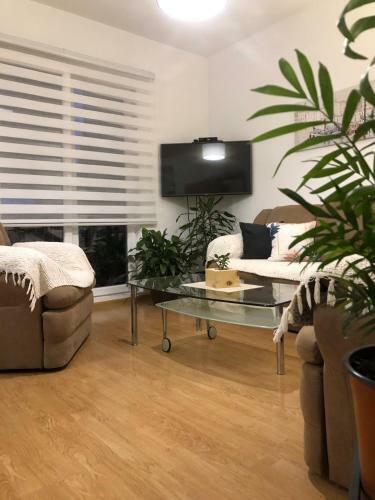 Family Apartment