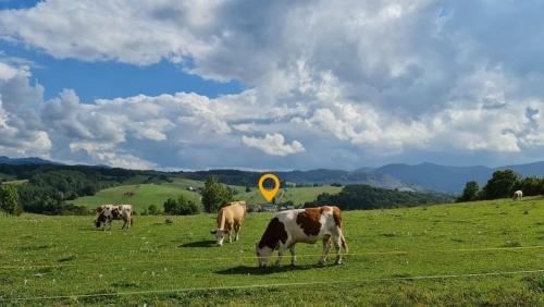 Apartm�n Style N�zke Tatry