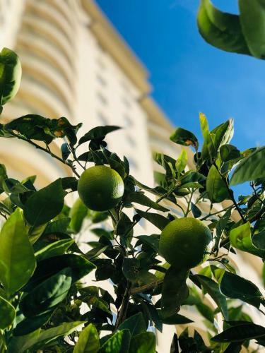 Apartamento Gold City 2+1 Main Building Flat With Free Aquapark