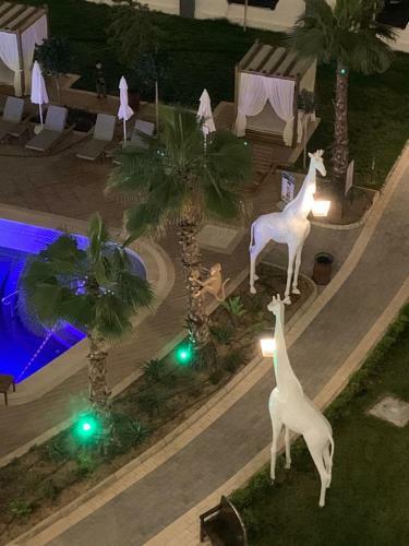 Apartamento Serenity Residence ?????????