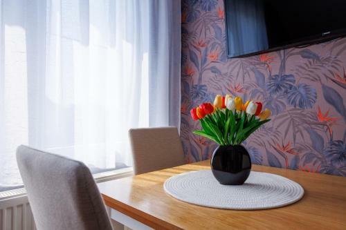 Apartmani Nina