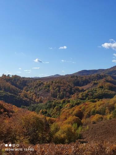 Cabanu?a Young Valley