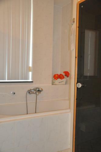 Apartamento Appartement Duinerei C201